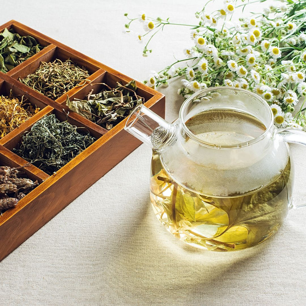 The Benefits of Herbal Teas: Chamomile, Peppermint, and More